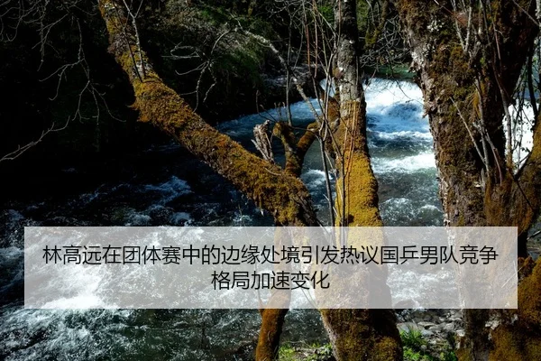 林高远在团体赛中的边缘处境引发热议国乒男队竞争格局加速变化