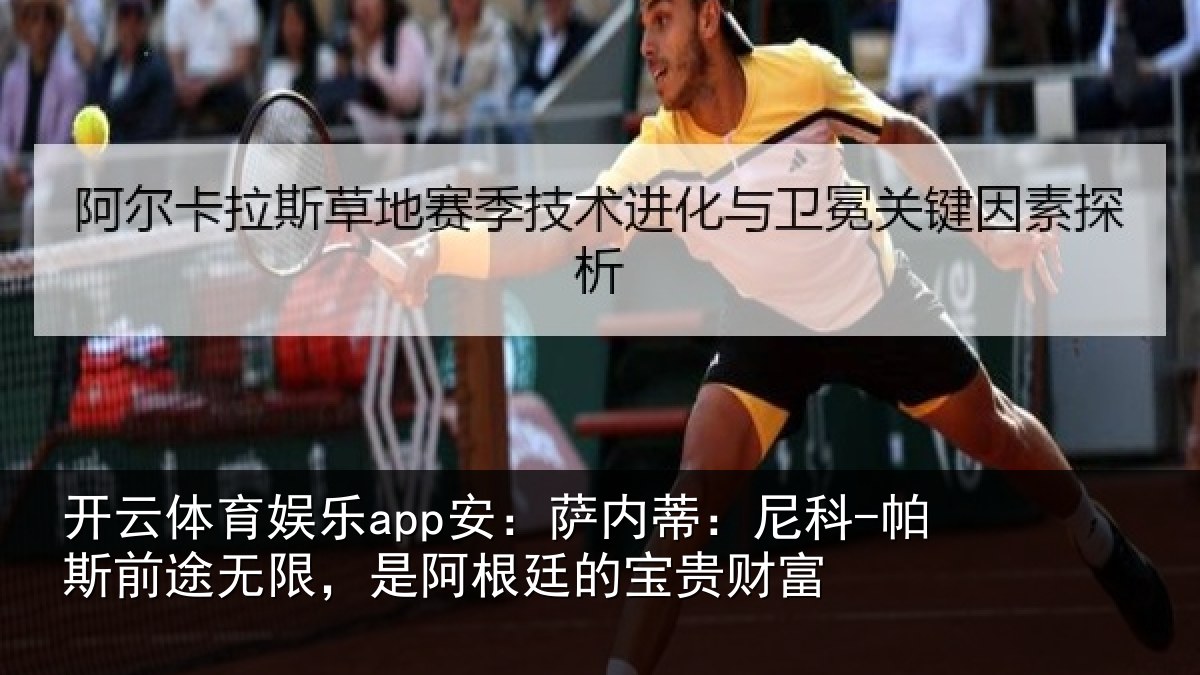 开云体育娱乐app安：萨内蒂：尼科相关情况贵财富