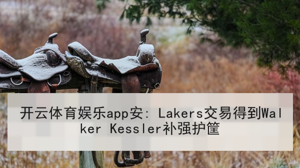 开云体育娱乐app安: Lakers交易得到Walker Kessler补强护筐