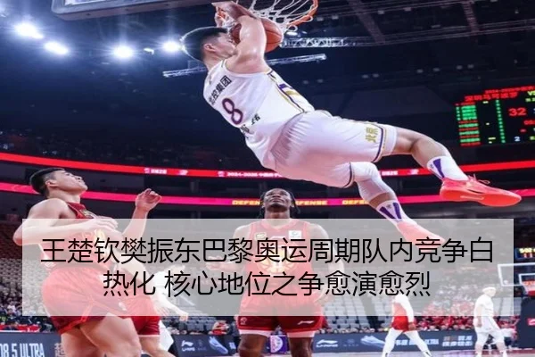 wang-chu-qin-fan-zhen-dong-ba-li-ao-yun-zhou-qi-dui-nei-jing-zheng-bai-re-hua-he-xin-di-wei-zhi-zheng-yu-yan-yu-lie-3-628.jpg