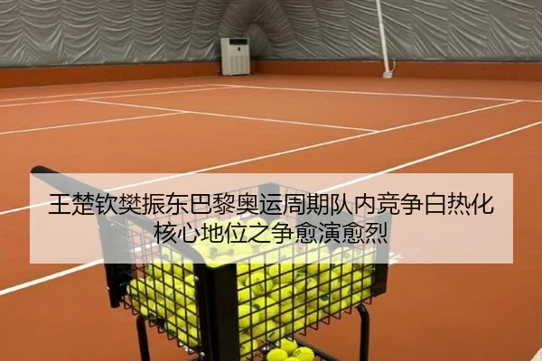 王楚钦樊振东巴黎奥运周期队内竞争白热化 核心地位之争愈演愈烈