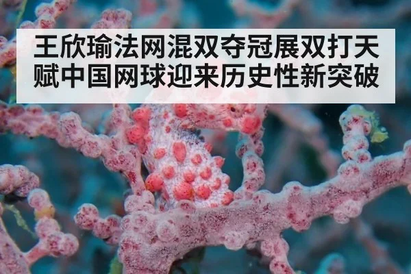 王欣瑜法网混双夺冠展双打天赋中国网球迎来历史性新突破
