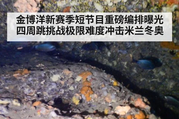 金博洋新赛季短节目重磅编排曝光 四周跳挑战极限难度冲击米兰冬奥